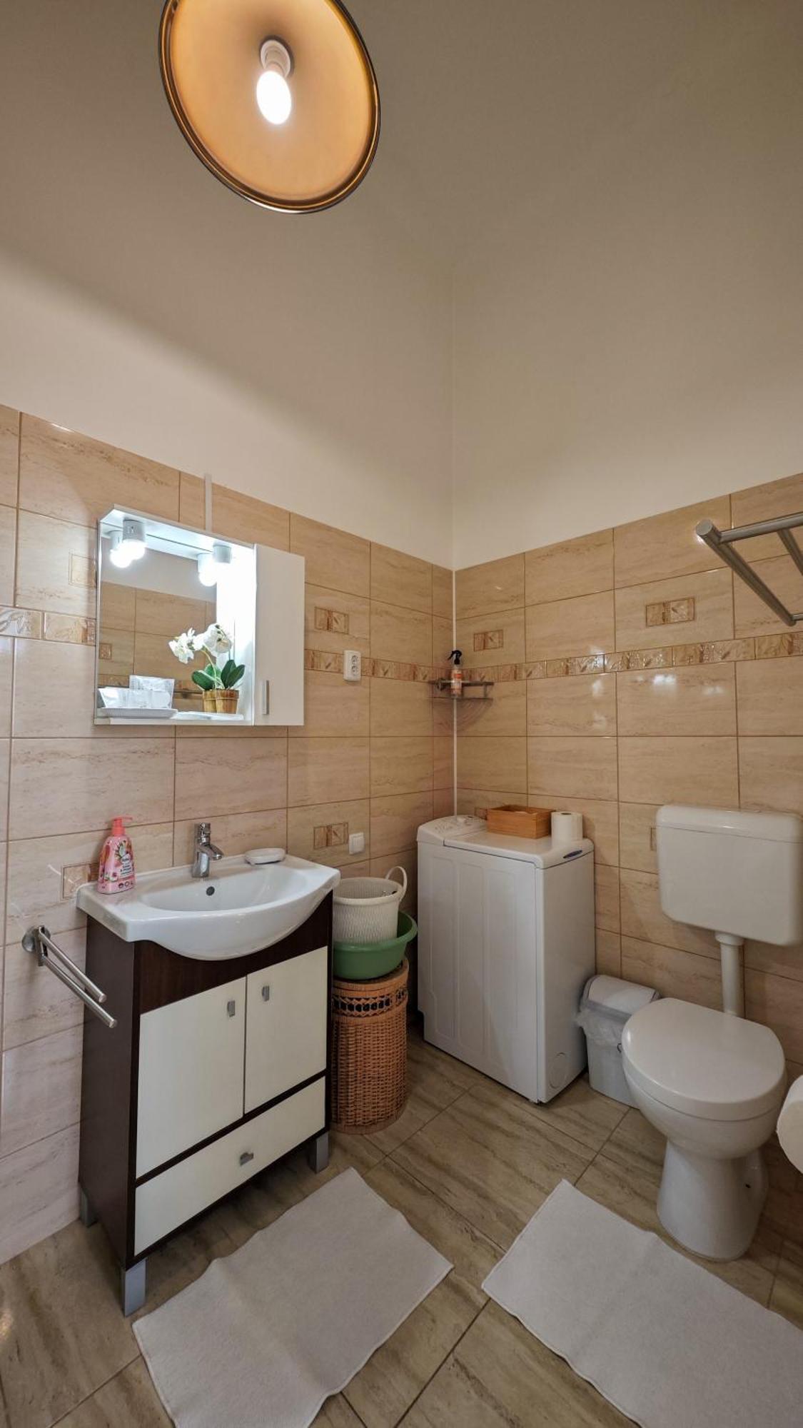 Neuhausz Residenz Ultra-Central Apartment Timişoara Exterior foto